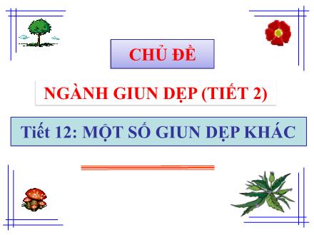 Bài giảng Sinh học Lớp 7 - Chủ đề: Ngành giun dẹp (Tiết 2) - Tiết 12: Một số giun dẹp khác