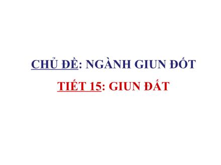 Bài giảng Sinh học Lớp 7 - Chủ đề: Ngành giun đốt - Tiết 15: Giun đất