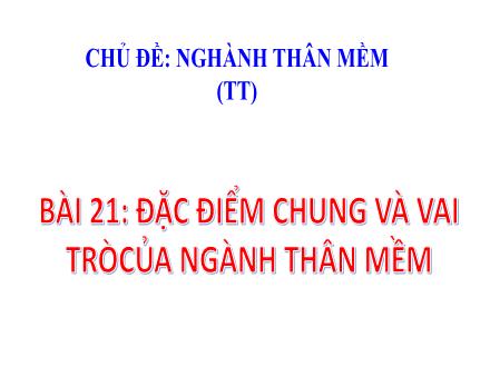 Bài giảng Sinh học Lớp 7 - Chủ đề: Nghành thân mềm (Tiếp theo) - Bài 21: Đặc điểm chung và vai tròcủa ngành thân mềm