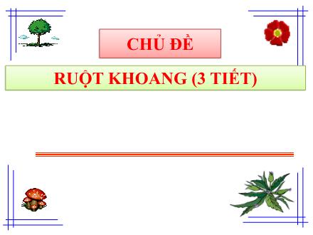Bài giảng Sinh học Lớp 7 - Chủ đề: Ruột khoang (Tiết 1) - Bài 8: Thủy tức