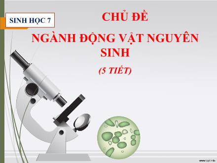 Bài giảng Sinh học Lớp 7 - Tiết 1: Thực hành: Quan sát một số động vật nguyên sinh