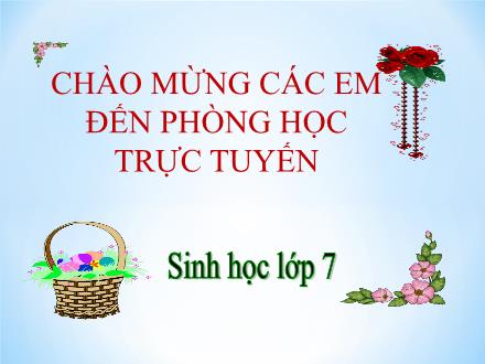 Bài giảng Sinh học Lớp 7 - Tiết 27-30, Chủ đề 12: Lớp sâu bọ