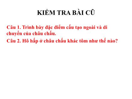 Bài giảng Sinh học Lớp 7 - Tiết 28, Bài 27: Đa dạng và đặc điểm chung của lớp sâu bọ