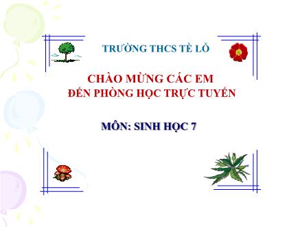 Bài giảng Sinh học Lớp 7 - Tiết 30, Bài 29: Đặc điểm chung và vai trò của ngành chân khớp