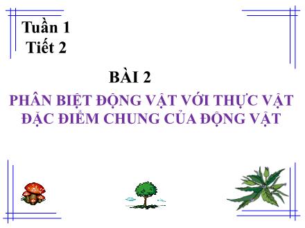 Bài giảng Sinh học Lớp 7 - Tuần 1, Tiết 2, Bài 2: Phân biệt động vật với thực vật đặc điểm chung của động vật