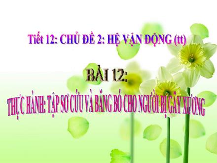 Bài giảng Sinh học Lớp 8 - Chủ đề 2: Hệ vận động (Tiếp theo) - Tiết 12, Bài 12: Thực hành: Tập sơ cứu và băng bó cho người bị gãy xương