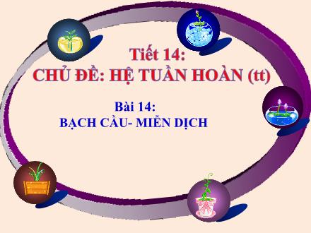 Bài giảng Sinh học Lớp 8 - Chủ đề: Hệ tuần hoàn (Tiếp theo) - Tiết 14, Bài 14: Bạch cầu-Miễn dịch