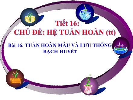 Bài giảng Sinh học Lớp 8 - Chủ đề: Hệ tuần hoàn (Tiếp theo) - Tiết 16, Bài 16: Tuần hoàn máu và lưu thông bạch huyết