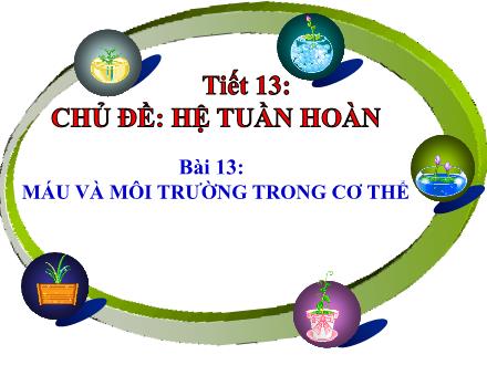 Bài giảng Sinh học Lớp 8 - Chủ đề: Hệ tuần hoàn - Tiết 13, Bài 13: Máu và môi trường trong cơ thể