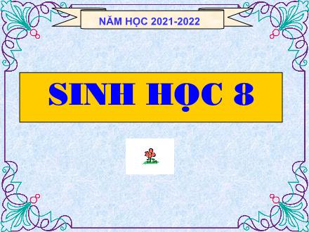 Bài giảng Sinh học Lớp 8 - Chủ đề: Khái quát cơ thể người (Tiếp theo) - Tiết 4, Bài 4: Mô