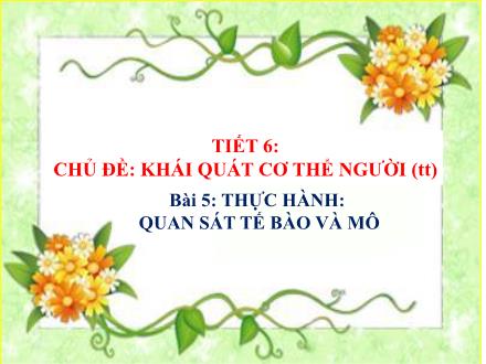 Bài giảng Sinh học Lớp 8 - Tiết 6, Chủ đề: Khái quát cơ thể người (Tiếp theo) - Bài 5: Thực hành: Quan sát tế bào và mô