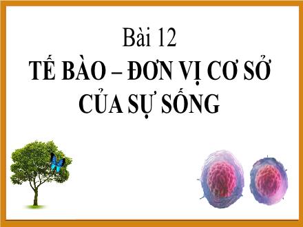 Bài giảng Sinh học Lớp 9 - Bài 12: Tế bào – đơn vị cơ sở của sự sống