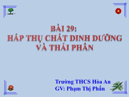 Bài giảng Sinh học Lớp 9 - Bài 29: Hấp thụ chất dinh dưỡng và thải phân - Phạm Thị Phấn