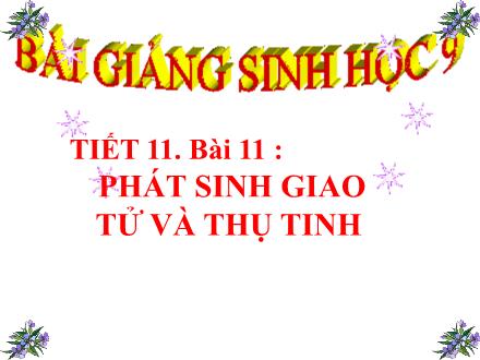 Bài giảng Sinh học Lớp 9 - Tiết 11, Bài 11: Phát sinh giao tử và thụ tinh