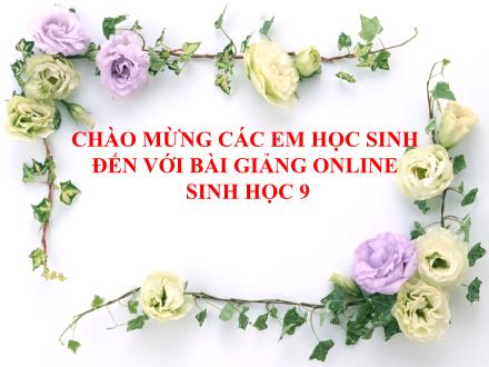 Bài giảng Sinh học Lớp 9 - Tiết 30: Môi trường và các nhân tố sinh thái