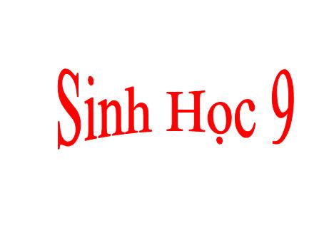 Bài giảng Sinh học Lớp 9 - Tiết 4: Lai hai cặp tính trạng
