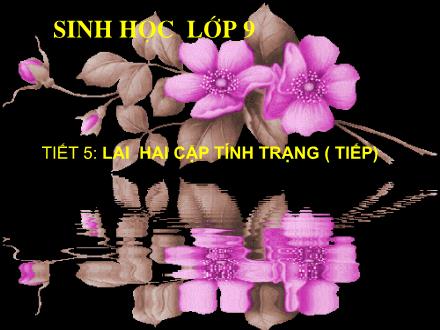 Bài giảng Sinh học Lớp 9 - Tiết 5: Lai hai cặp tính trạng (Tiếp)