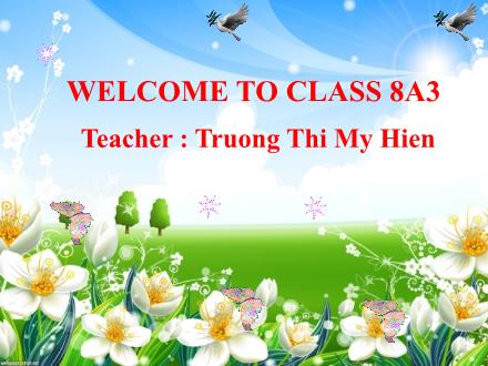 Bài giảng Tiếng Anh Lớp 8 - Unit 1: Leisure activities - Period 3: A closer look 1 - Truong Thi My Hien