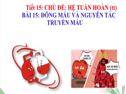 Giáo án Sinh học Lớp 8 - Chủ đề: Hệ tuần hoàn (Tiếp theo) - Tiết 15, Bài 15: Đông máu và nguyên tắc truyền máu