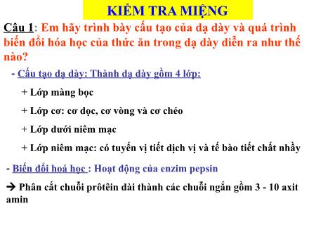 Giáo án Sinh học Lớp 8 - Tiết 29, Bài 28: Tiêu hóa ở ruột non