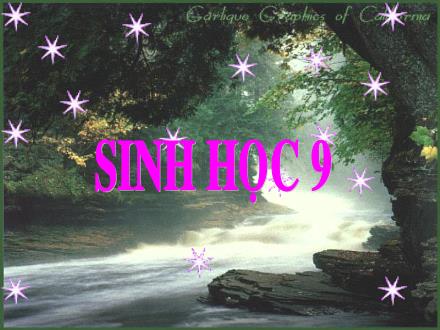 Giáo án Sinh học Lớp 9 - Chương II: Nhiễm sắc thể