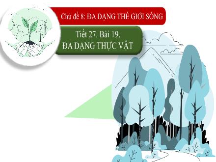 Sinh học Lớp 6 - Tuần 14, Tiết 27, Bài 19: Đa dạng thực vật