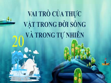 Sinh học Lớp 6 - Tuần 14, Tiết 28, Bài 20: Vai trò của thực vật trong đời sống và trong tự nhiên