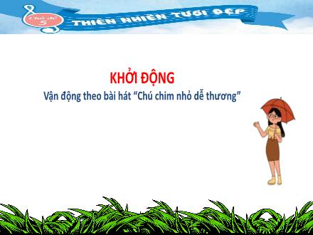 Bài giảng Âm nhạc 4 (Kết nối tri thức) - Chủ đề 5: Thiên nhiên tươi đẹp - Bài: Hát Hạt mưa kể chuyện. Ôn đọc nhạc Bài số 3