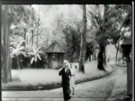 Bài giảng Ngữ văn 8 - Bài: Cảnh khuya