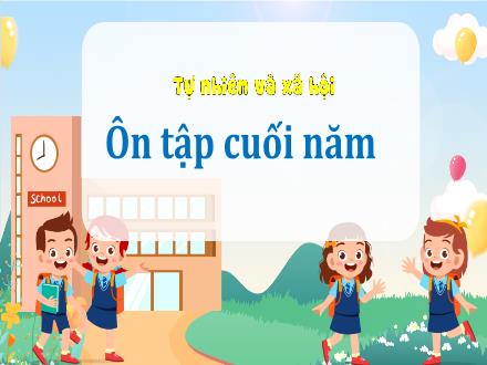 Bài giảng Tự nhiên & Xã hội 3 - Ôn tập cuối năm