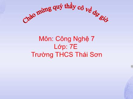 Bài giảng Công nghệ 7 - Tiết 8: Ôn tập phần trồng trọt - Trường THCS Thái Sơn
