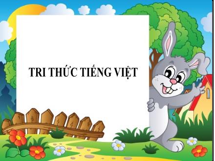 Bài giảng Ngữ văn 7 - Bài: Thực hành Tiếng Việt Ngôn ngữ các vùng miền