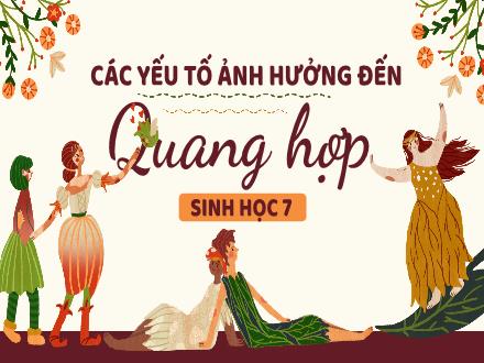 Bài giảng Sinh học 7 - Bài 19: Các yếu tố ảnh hưởng đến quang hợp