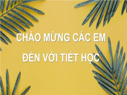 Bài giảng Toán 7 - Bài 1: Hình học chữ nhật. Hình lập phương
