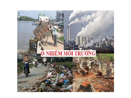 Đề tài Tìm hiểu tình trạng ô nhiễm môi trường ở địa phương và biện pháp xử lý