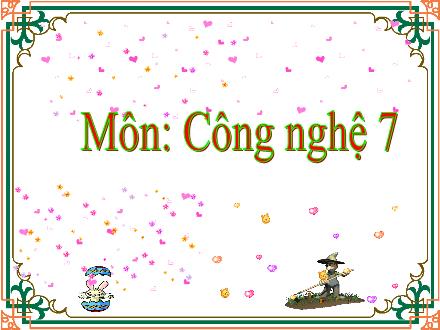 Bài giảng Công nghệ 7 (Kết nối tri thức) - Bài 11: Phòng và trị bệnh cho vật nuôi