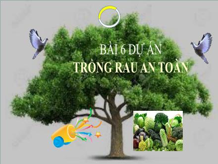Bài giảng Công nghệ 7 (Kết nối tri thức) - Bài 6: Dự án trồng rau an toàn