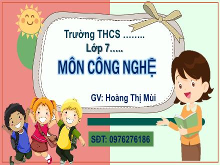 Bài giảng Công nghệ 7 (Kết nối tri thức) - Bài 8: Trồng, chăm sóc và bảo vệ rừng - Hoàng Thị Mùi