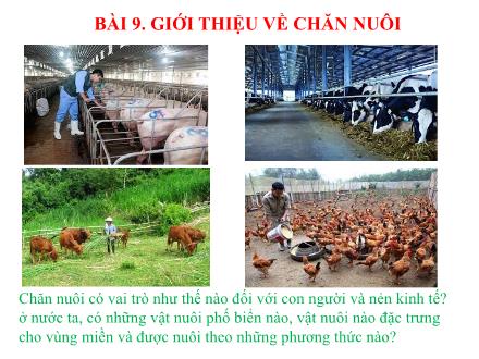 Bài giảng Công nghệ 7 (Kết nối tri thức) - Bài 9: Giới thiệu về chăn nuôi