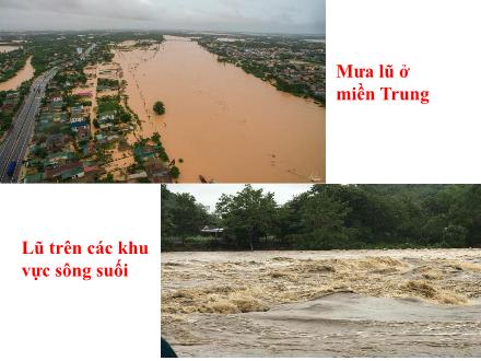 Bài giảng Công nghệ 7 (Kết nối tri thức) - Chương II: Lâm nghiệp - Bài 7: Giới thiệu về rừng