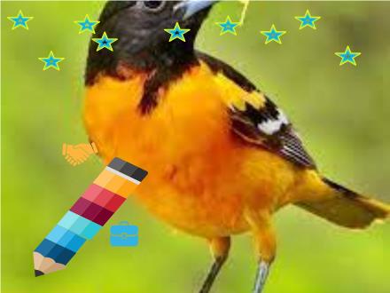 Bài giảng Công nghệ 7 (Kết nối tri thức) - Ôn tập chương IV