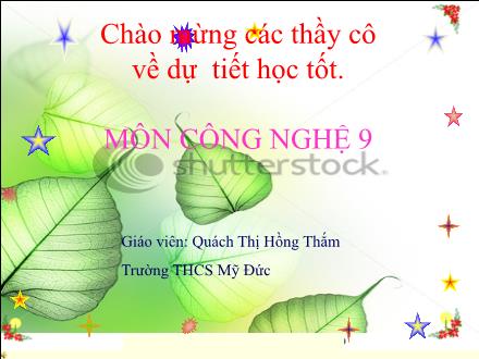 Bài giảng Công nghệ 9 - Bài 3: Dụng cụ dùng trong lắp đặt mạng điện - Quách Thị Hồng Thắm