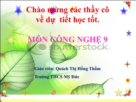 Bài giảng Công nghệ 9 - Bài 6: Thực hành lắp mạch điện bảng điện - Quách Thị Hồng Thắm