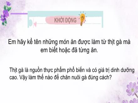 Bài giảng Công nghệ Lớp 7 (Kết nối tri thức) - Bài 12: Chăn nuôi gà thịt trong nông hộ - Năm học 2022-2023