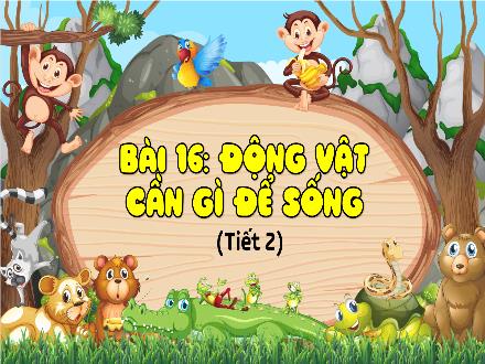 Bài giảng Khoa học 4 - Bài 16: Động vật cần gì để sống (Tiết 2)