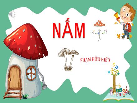 Bài giảng Khoa học tự nhiên 6 - Bài: Nấm