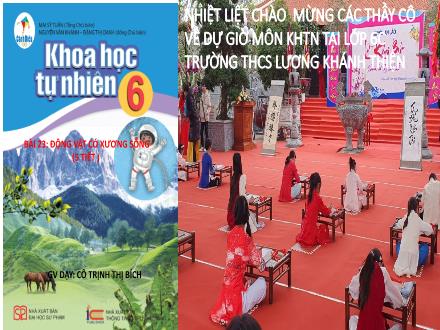Bài giảng Khoa học tự nhiên 6 Sách Cánh diều - Bài 23: Động vật có xương sống - Trịnh Thị Bích