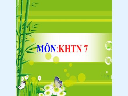 Bài giảng Khoa học tự nhiên 7 - Bài 11: Phản xạ âm