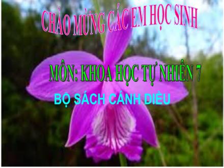 Bài giảng Khoa học tự nhiên 7 Sách Cánh diều - Bài 25: Trao đổi nước và các chất dinh dưỡng ở thực vật