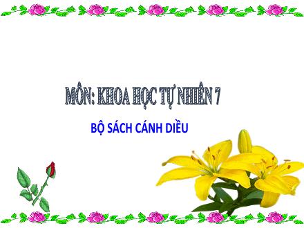 Bài giảng Khoa học tự nhiên 7 Sách Cánh diều - Chủ đề 4: Tốc độ - Bài 8: Đồ thị quãng đường, thời gian